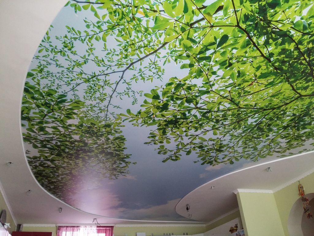 3d-ceilings_gal_6