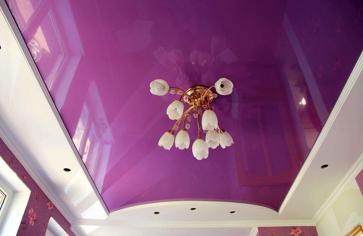 purple-ceilings_gal_9